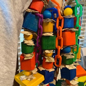 PARROTS SUPER CLUSTER