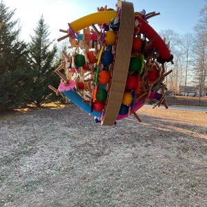 CARDBOARD PLAY GYM For Birds