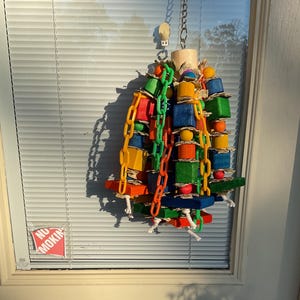 PARROTS SUPER CLUSTER