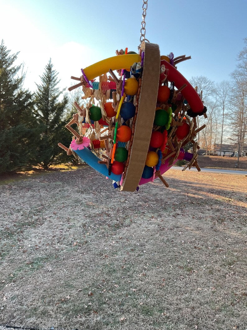 CARDBOARD PLAY GYM For Birds