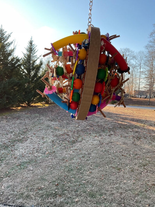 CARDBOARD PLAY GYM For Birds