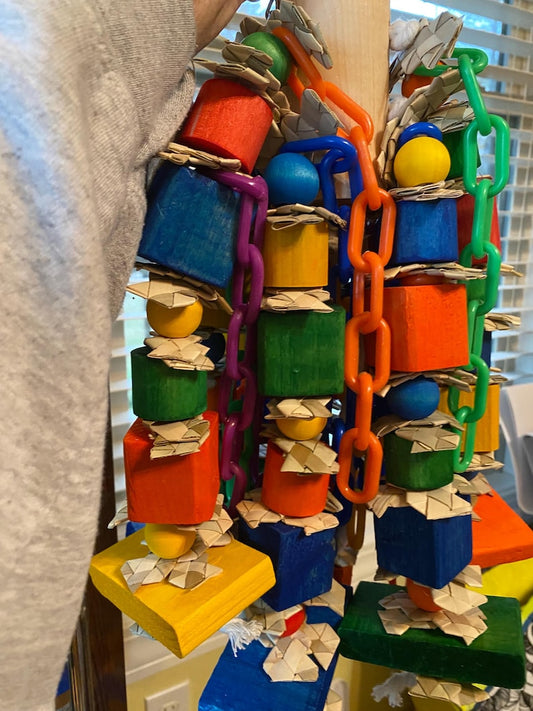 PARROTS SUPER CLUSTER